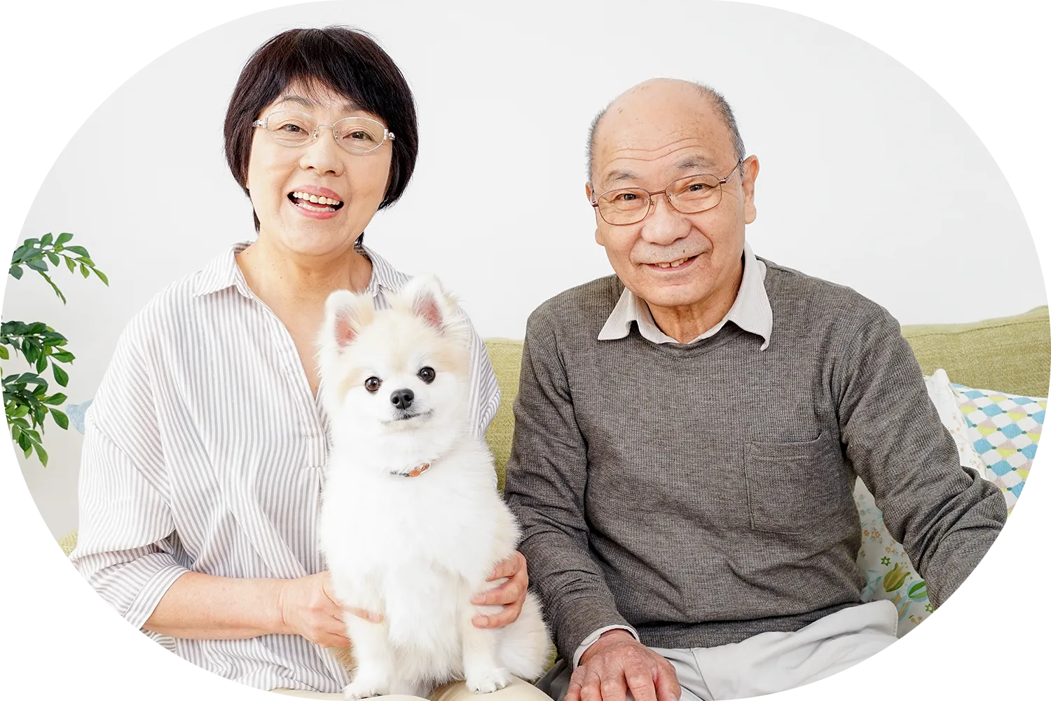 リビングでペットの犬とソファに座る高齢夫婦の写真
